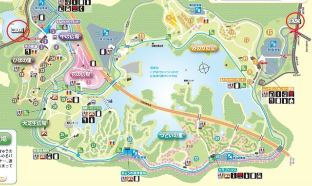 備北丘陵公園イルミネーション2020の混雑・駐車場情報や開催期間など